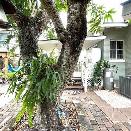 Independent Studio In Little Havana 迈阿密 外观 照片