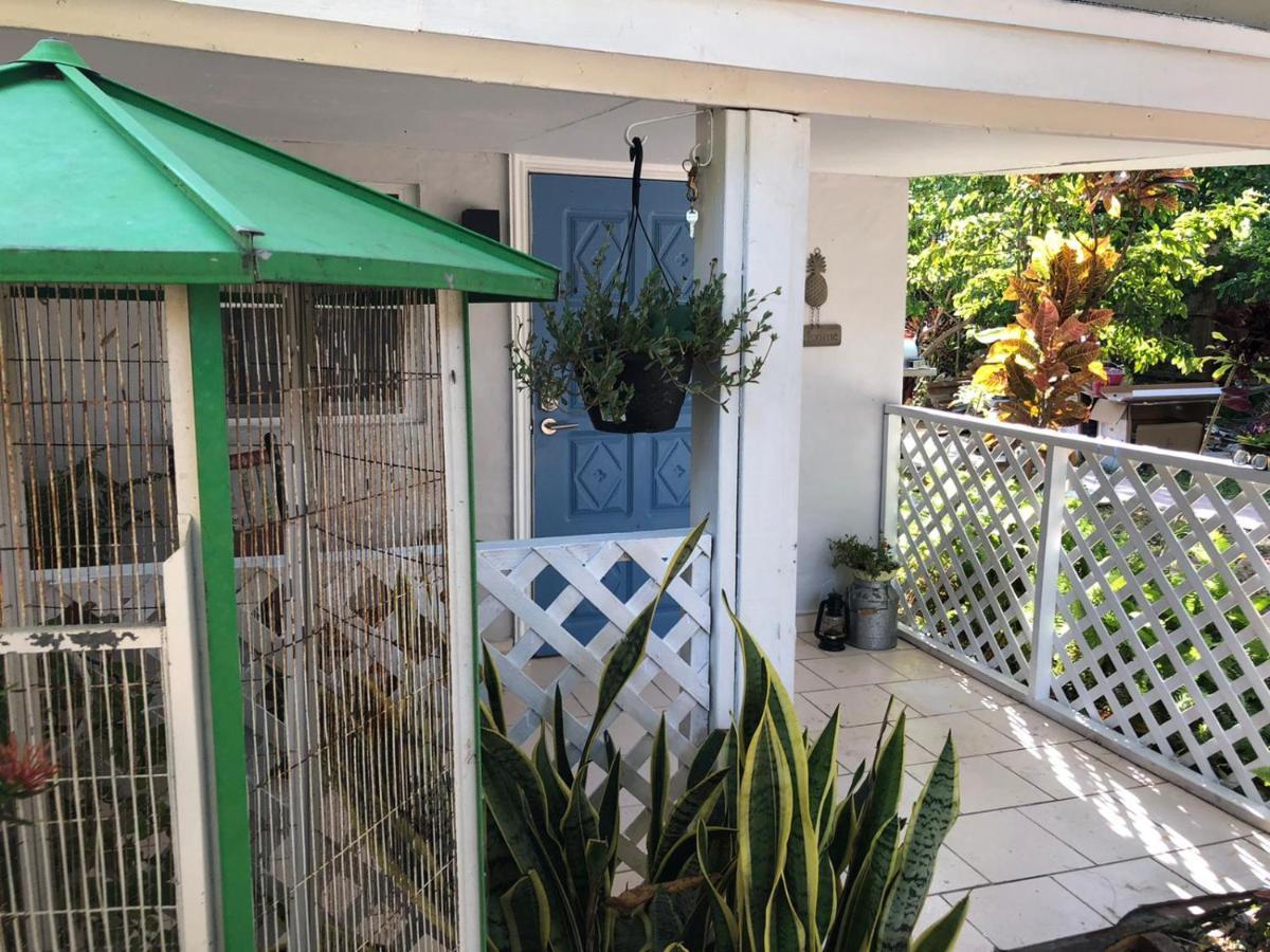 Independent Studio In Little Havana 迈阿密 外观 照片