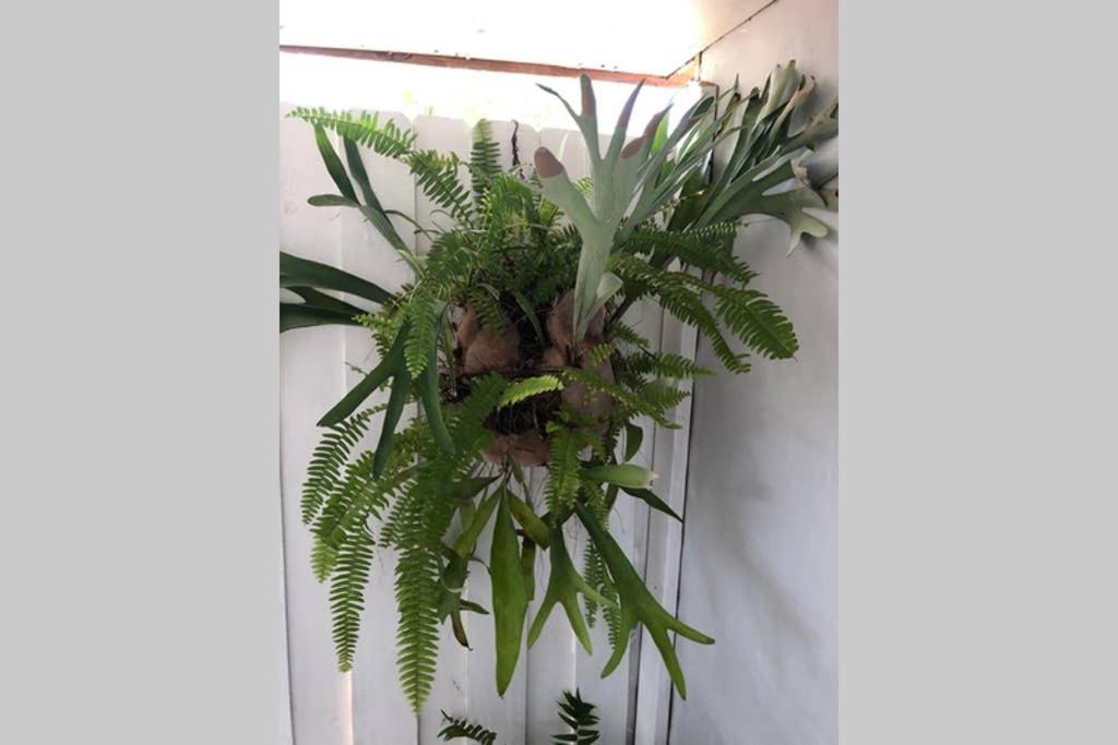Independent Studio In Little Havana 迈阿密 外观 照片