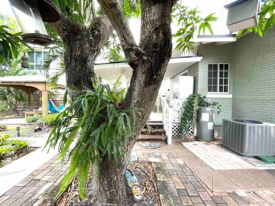 Independent Studio In Little Havana 迈阿密 外观 照片