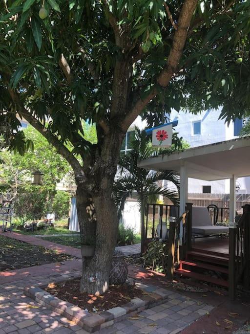 Independent Studio In Little Havana 迈阿密 外观 照片