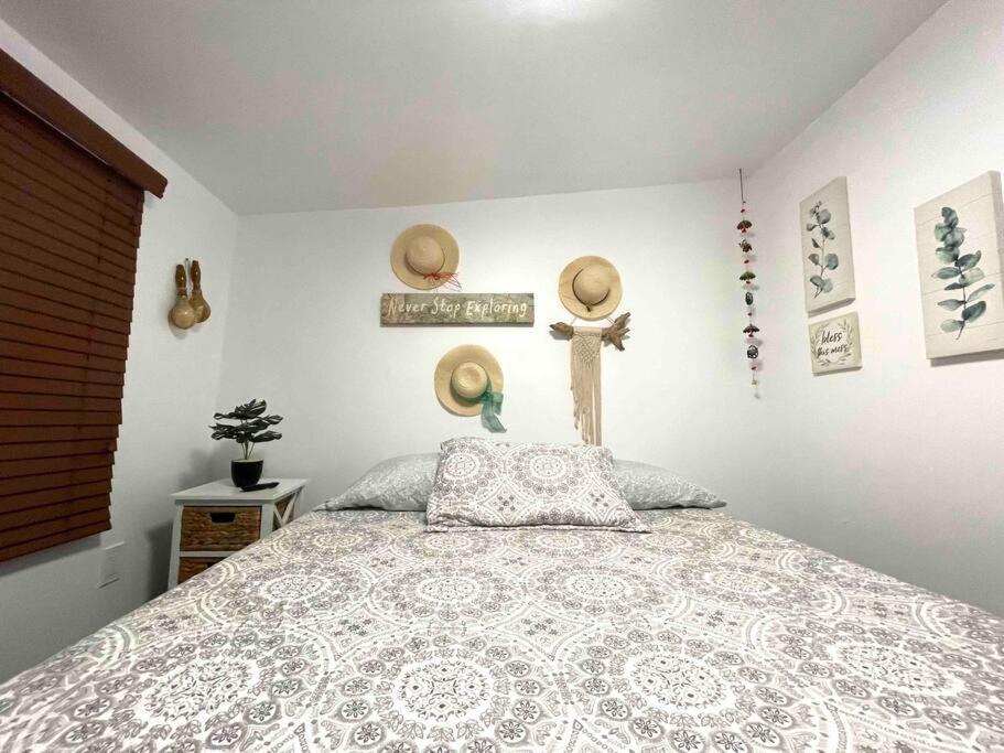 Independent Studio In Little Havana 迈阿密 外观 照片